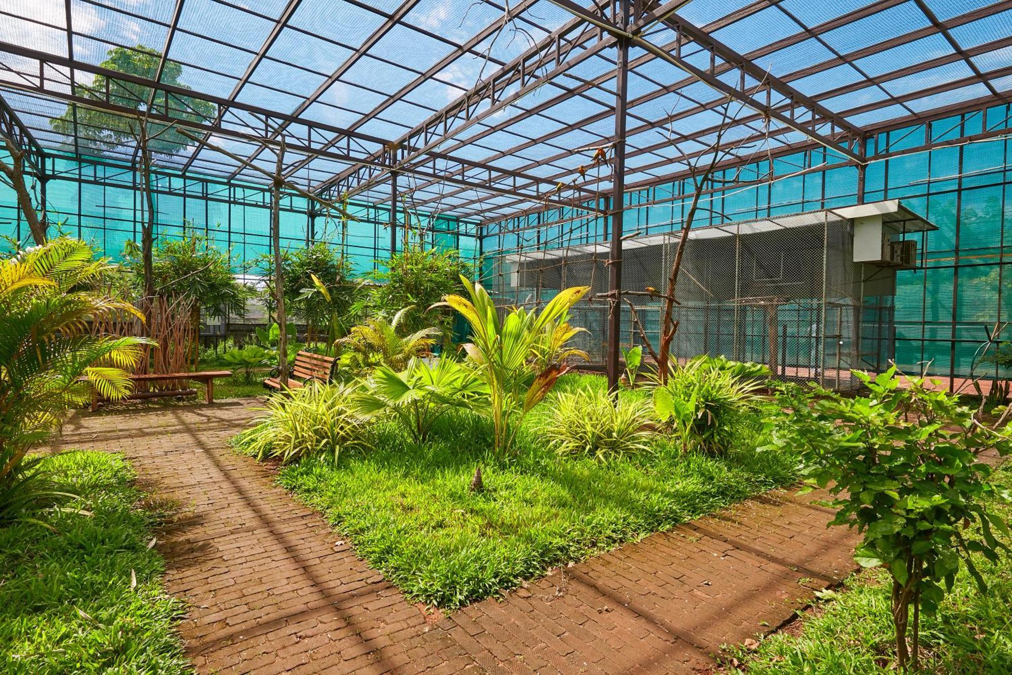 Bodhiwoods Resorts Mahabalipuram Zewnętrze zdjęcie